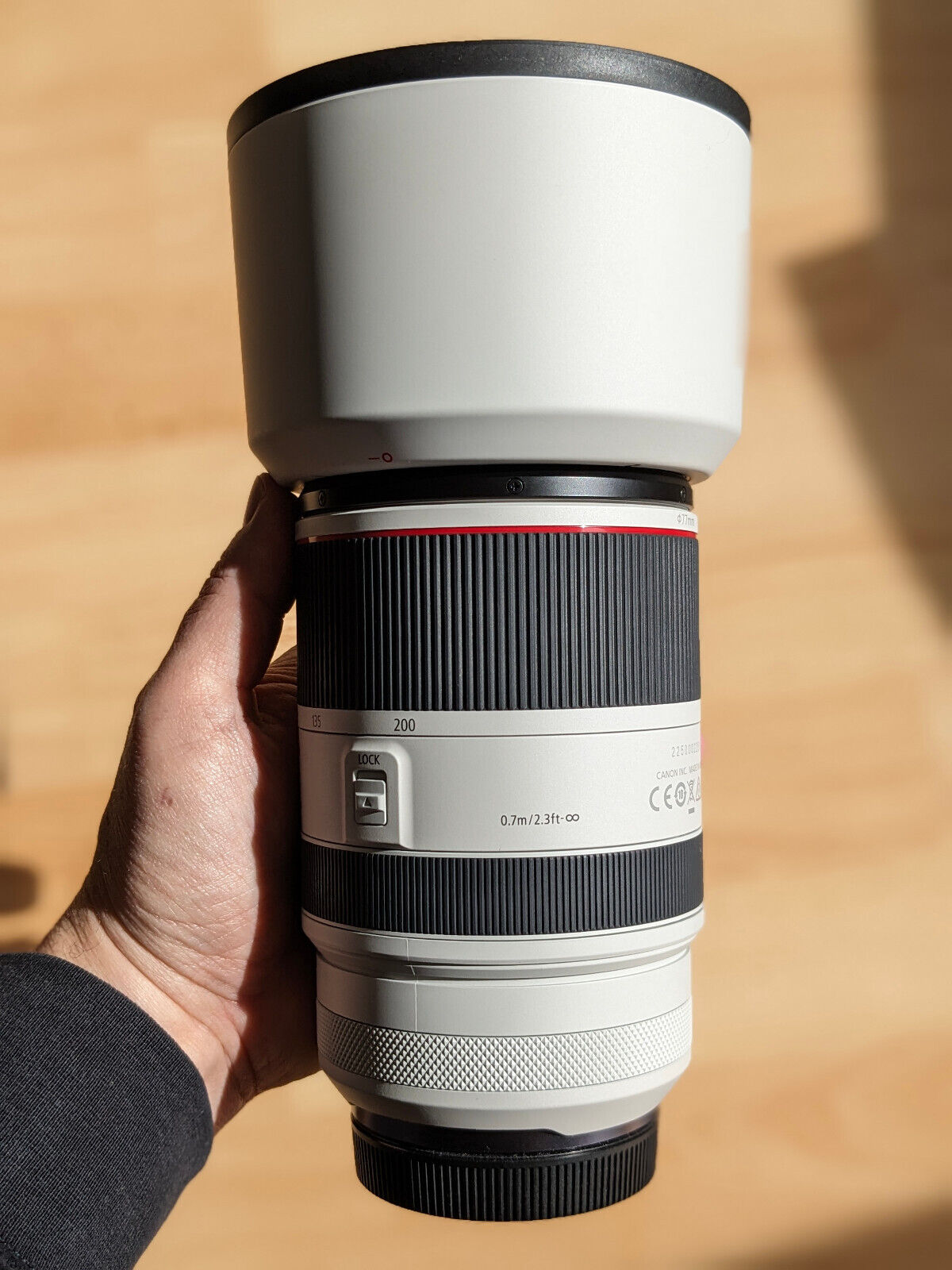 Canon RF 70-200mm f2.8 L IS USM