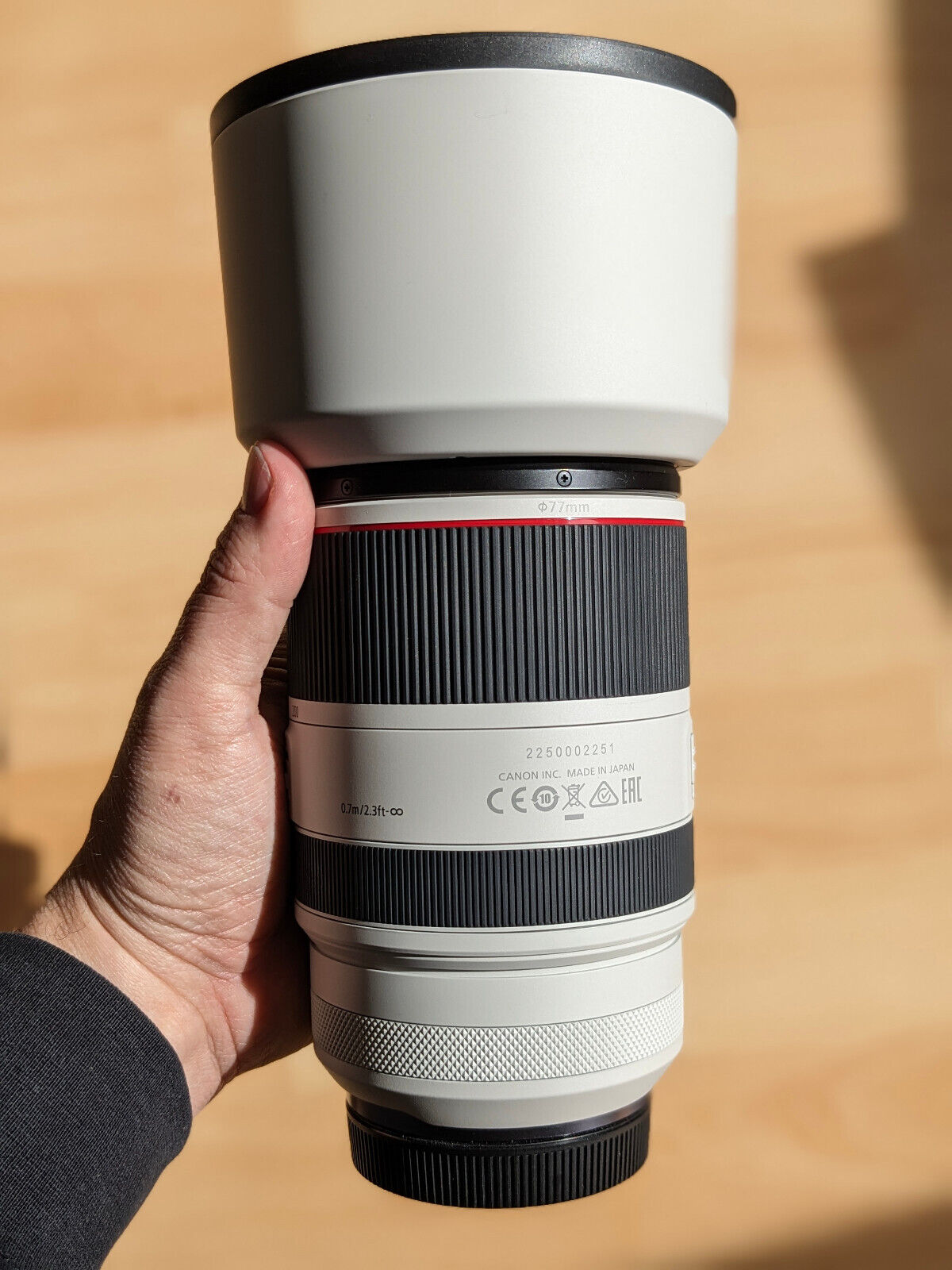 Canon RF 70-200mm f2.8 L IS USM